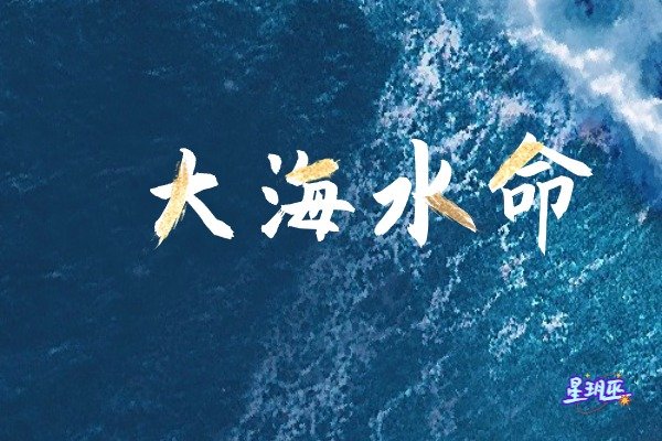 大海水命：天生的领导者与挑战克服者